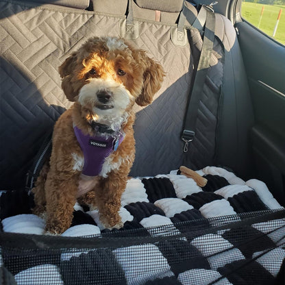 The ComfyDawg™ AdventurePup Bundle