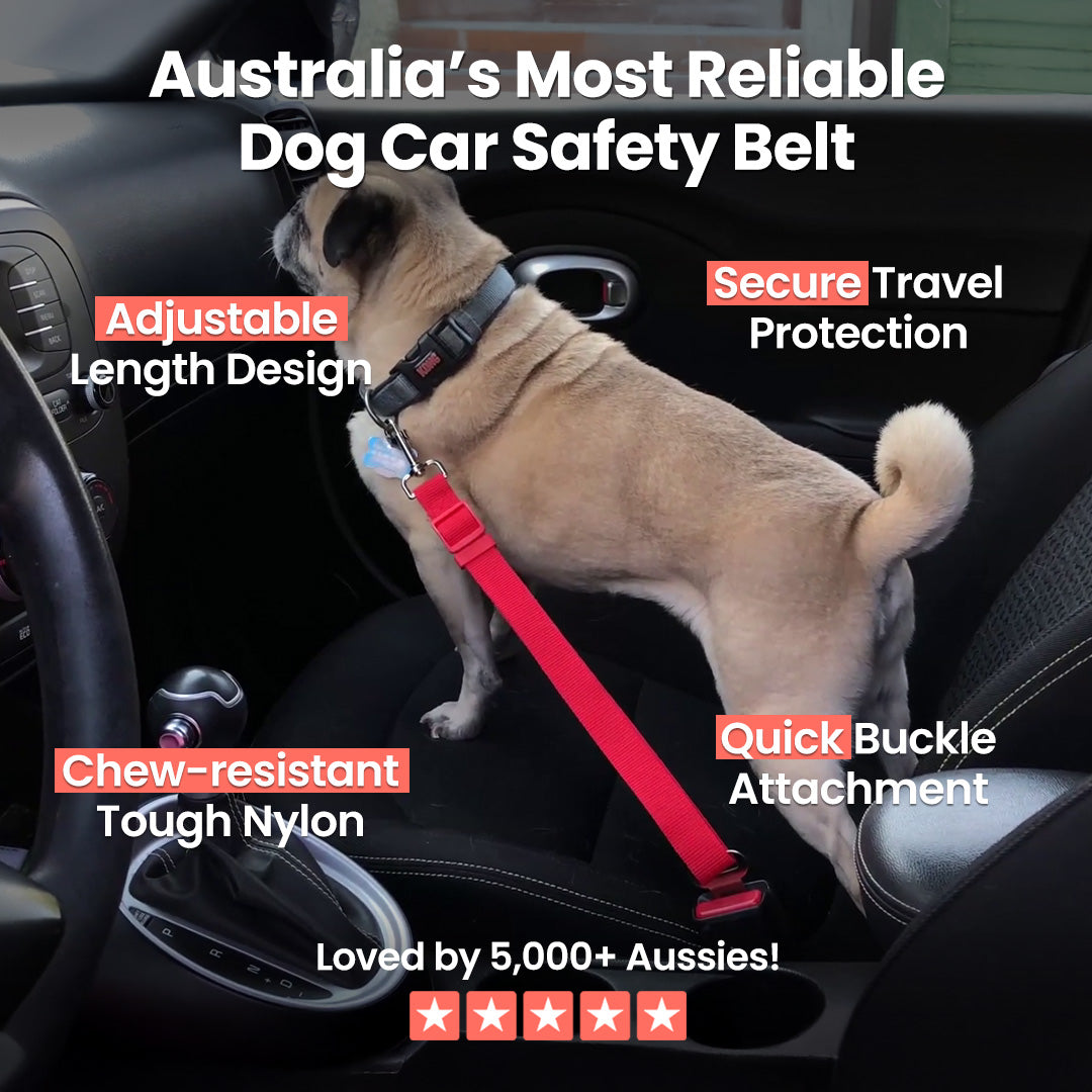 ComfyDawg™ Seatbelt