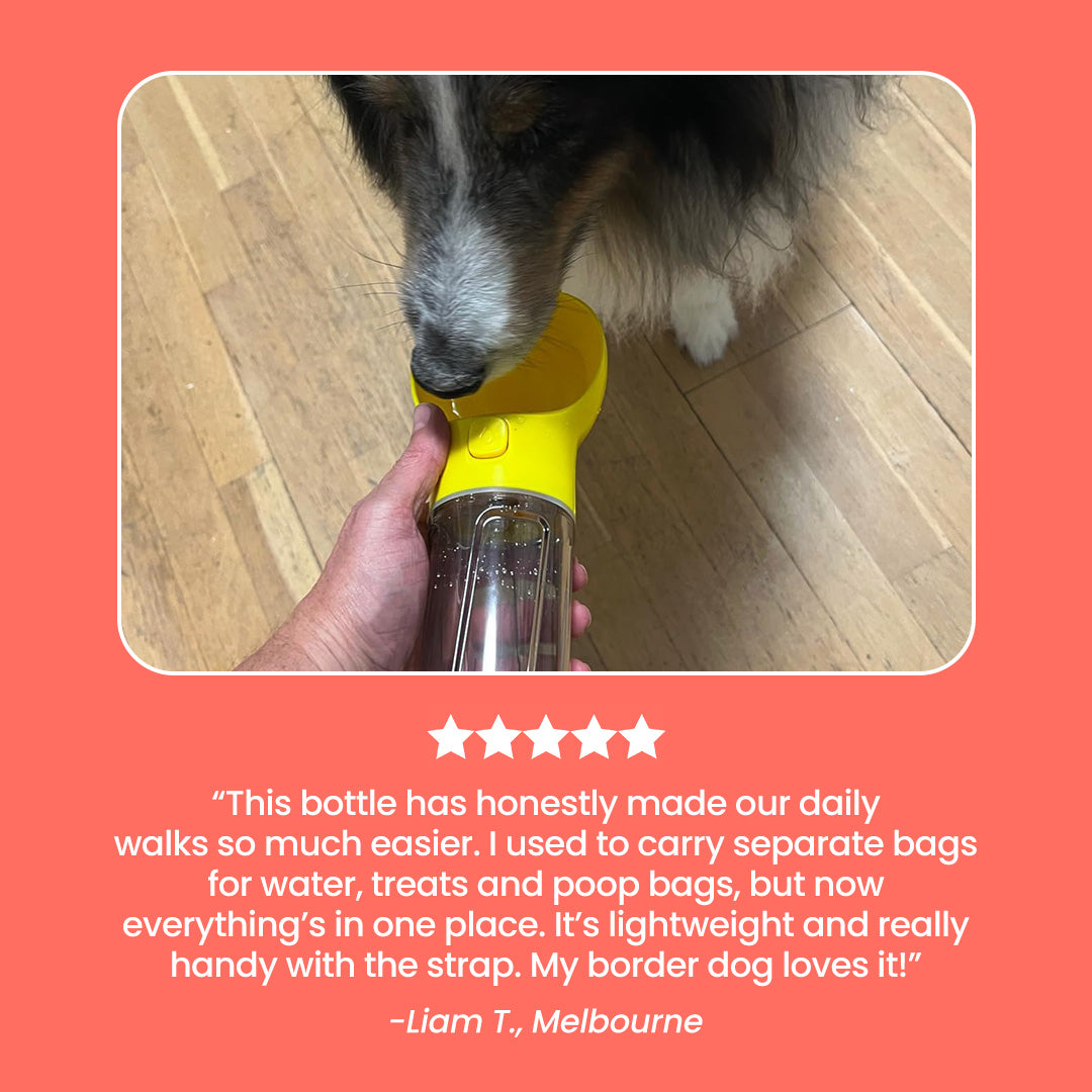 Adventure Bottle