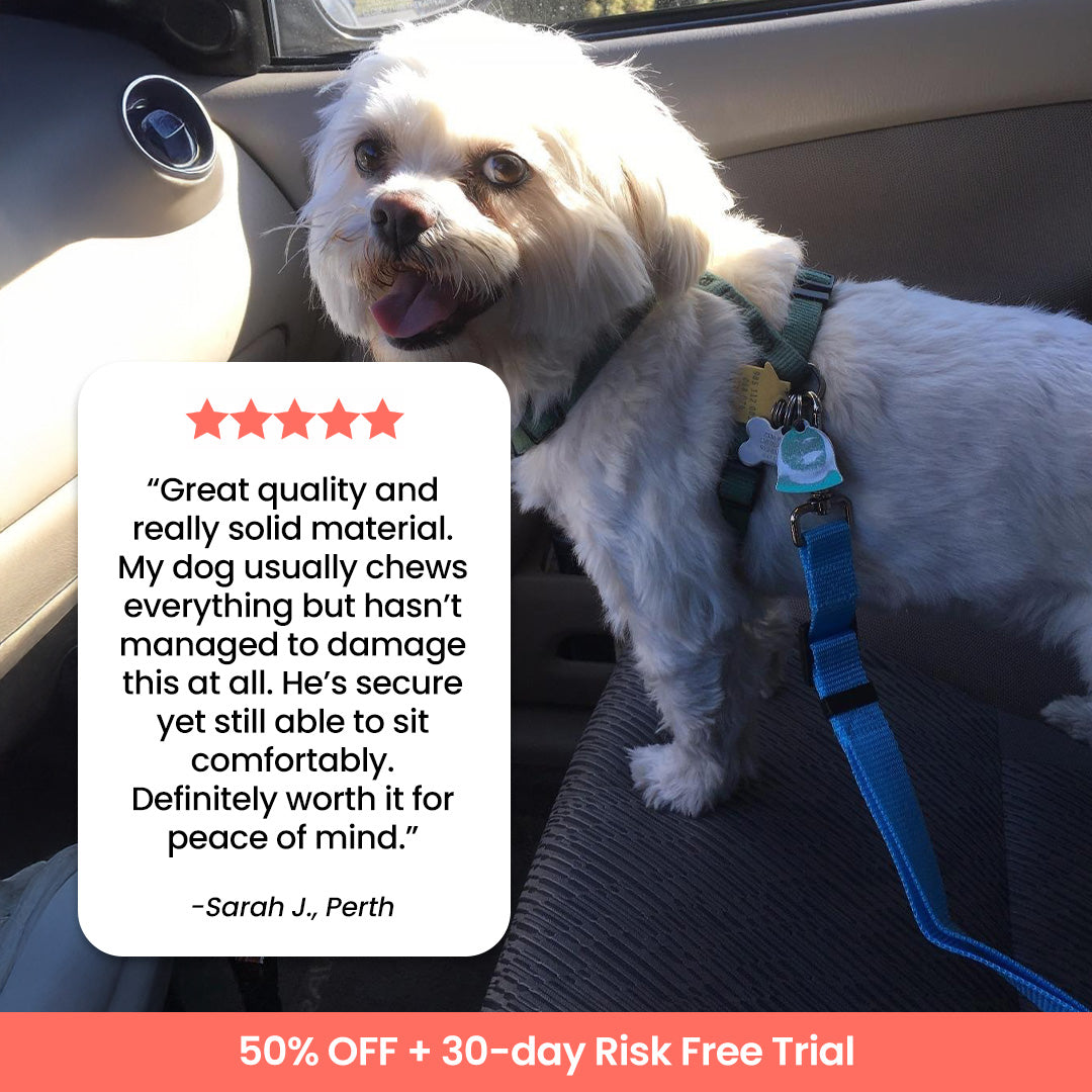 ComfyDawg™ Seatbelt