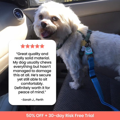 ComfyDawg™ Seatbelt