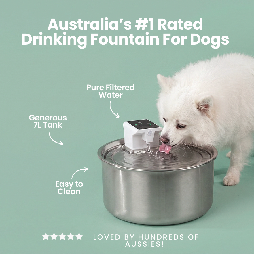 ComfyDawg™ Fresha-Fountain