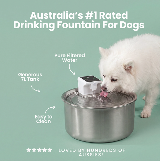 ComfyDawg™ Fresha-Fountain